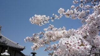 当店事務所を改装中です。