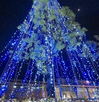 彦根は雪が降ってました。