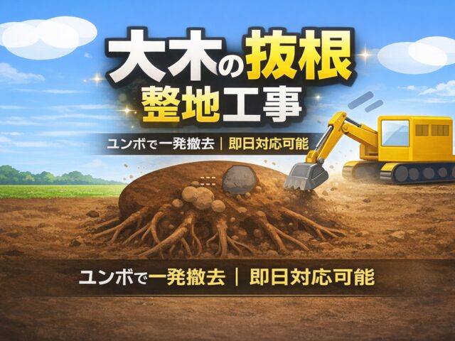 抜根【彦根市】