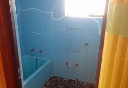 正月思っていたらもう 5日