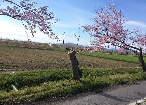 令和元年 はじまり～　はじまり～（人間国宝風に）
