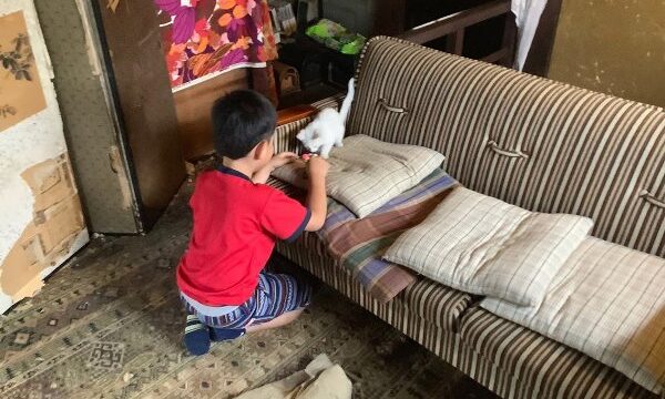 産まれたての猫ちゃん。