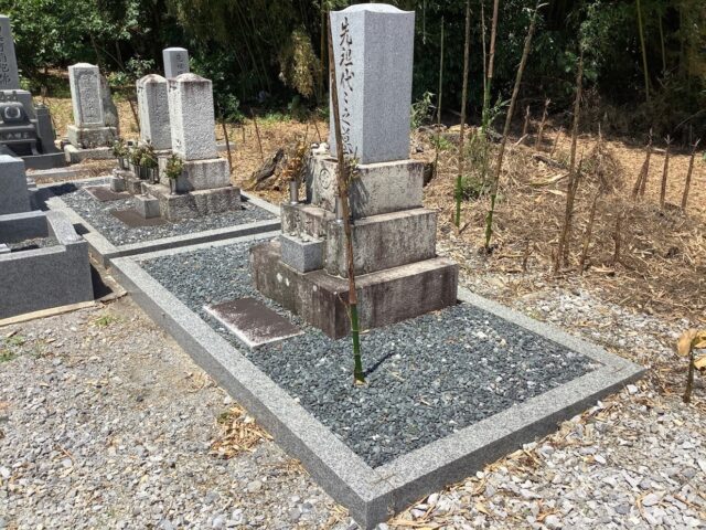 根鞭ねぶちとり