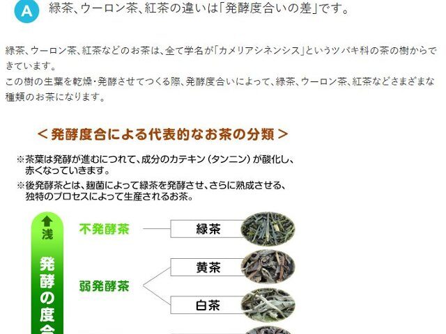 紅茶と烏龍茶の違い知っていますか？
