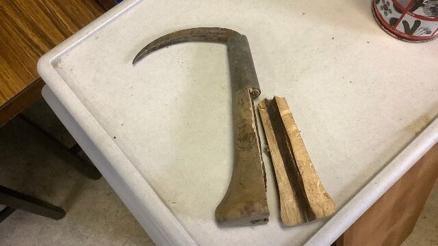 宝物が出てきた。