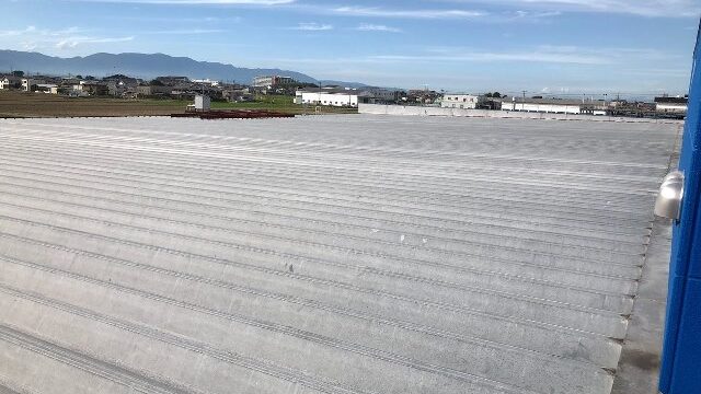雨漏れの調査  大手の車屋様