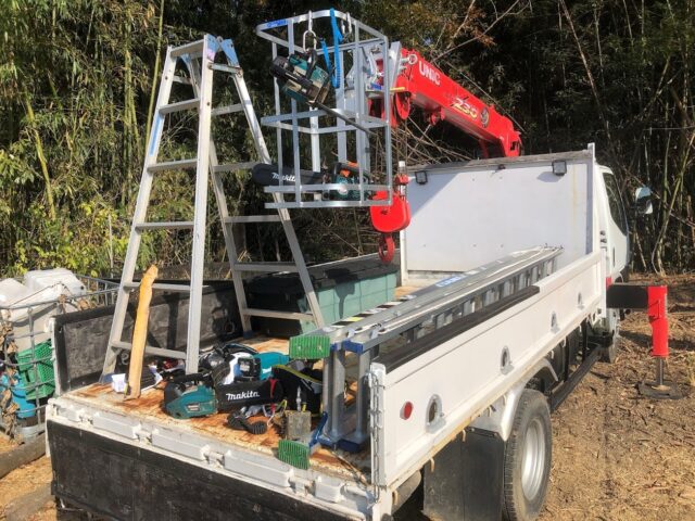 20mケヤキの伐採